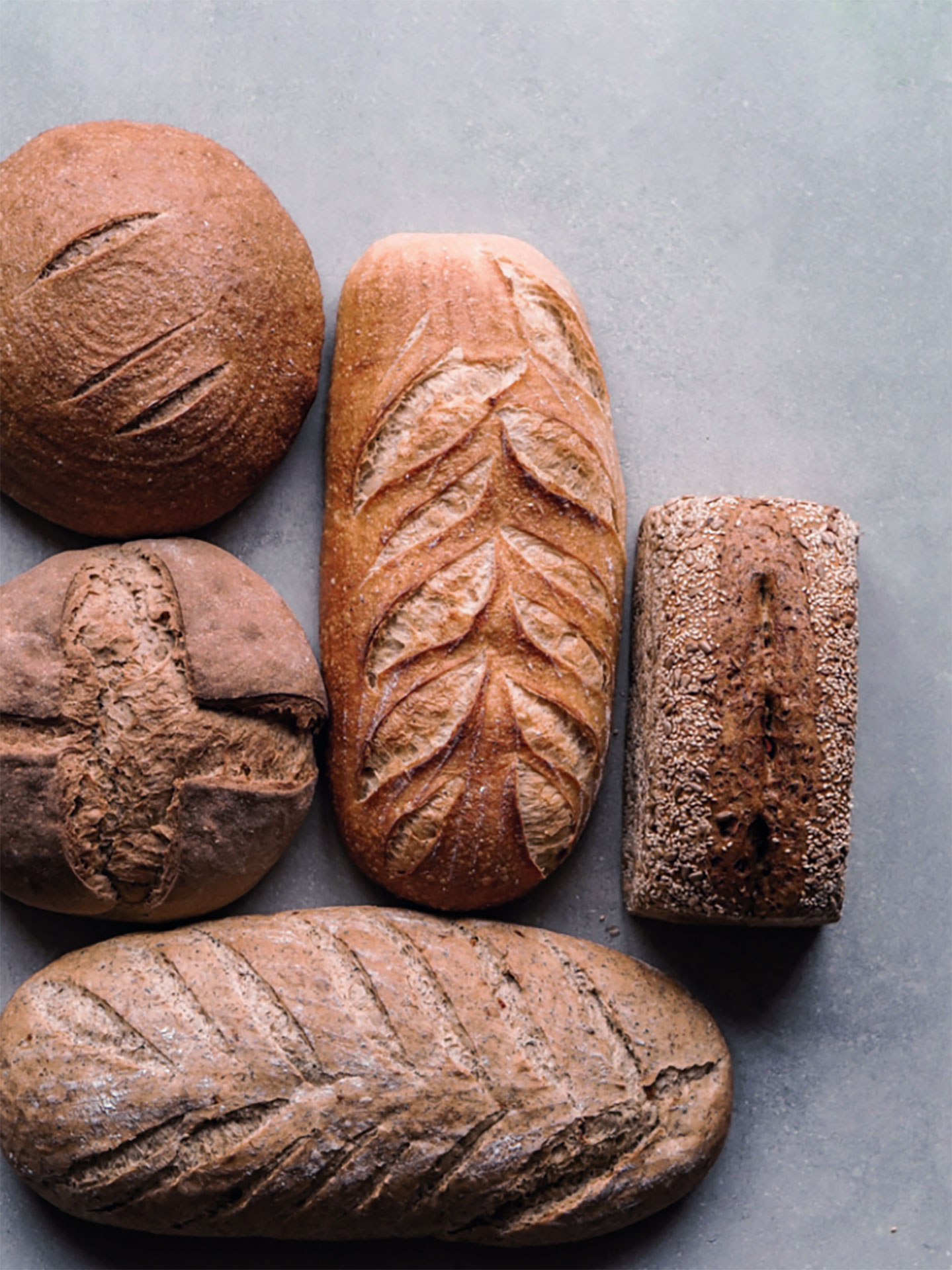 Verschiedene handwerklich gebackene Brote – Bäckerei Ostendorf